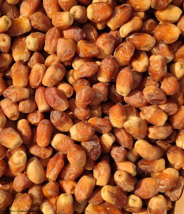 تصویر 1 از خرید و قیمت انواع خرما زاهدی خواص